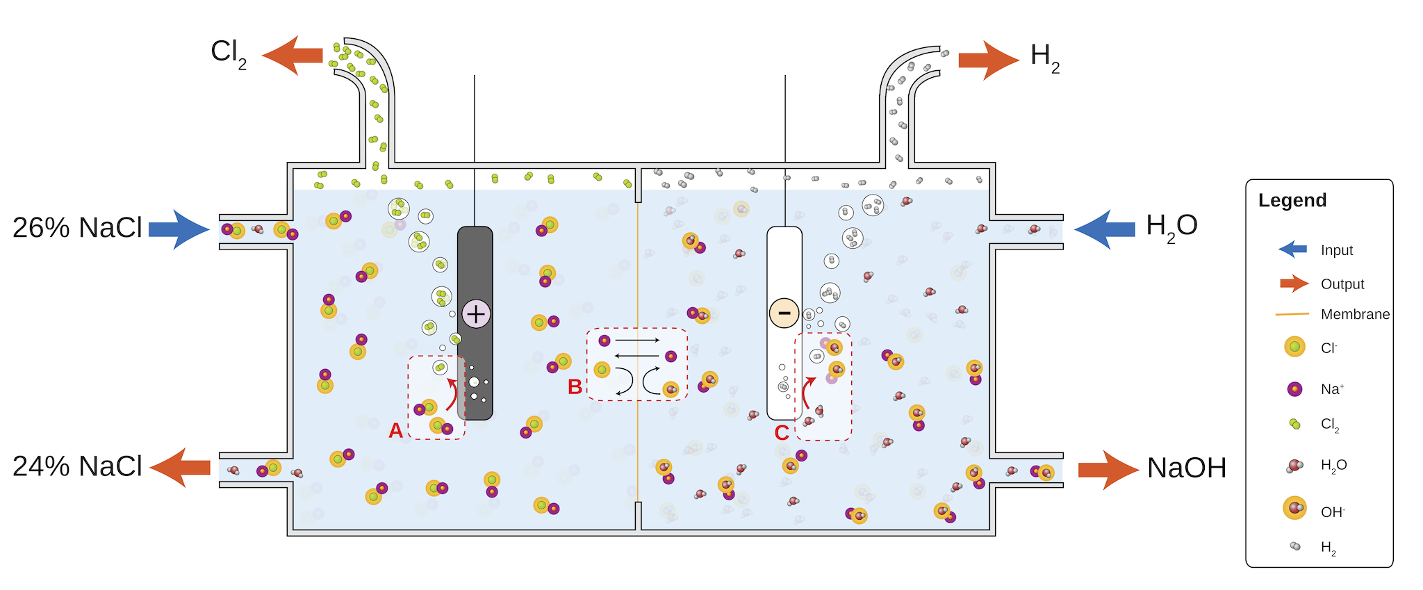 Chloralkali membrane